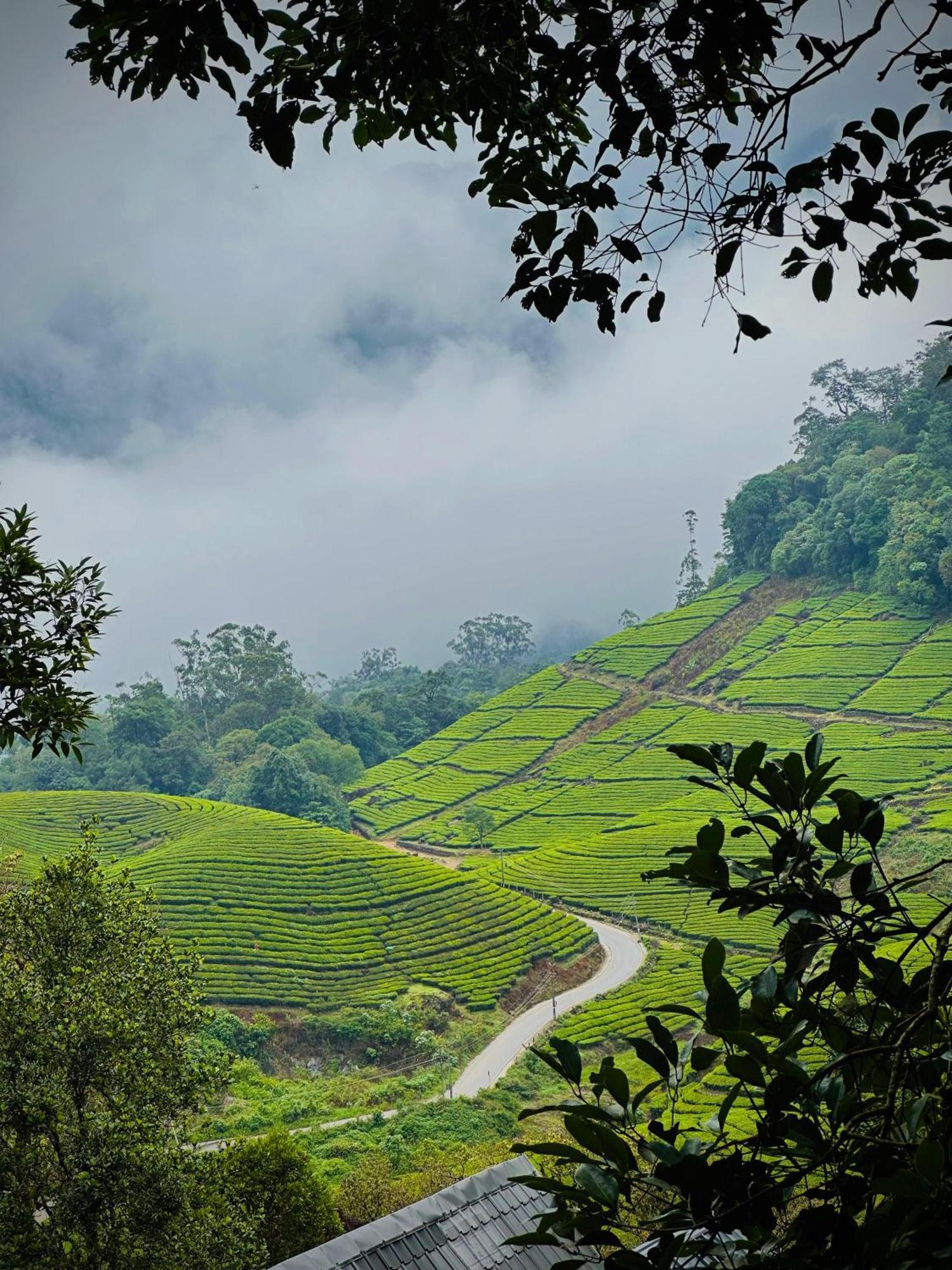 Forestscape Resort Munnar Exterior foto